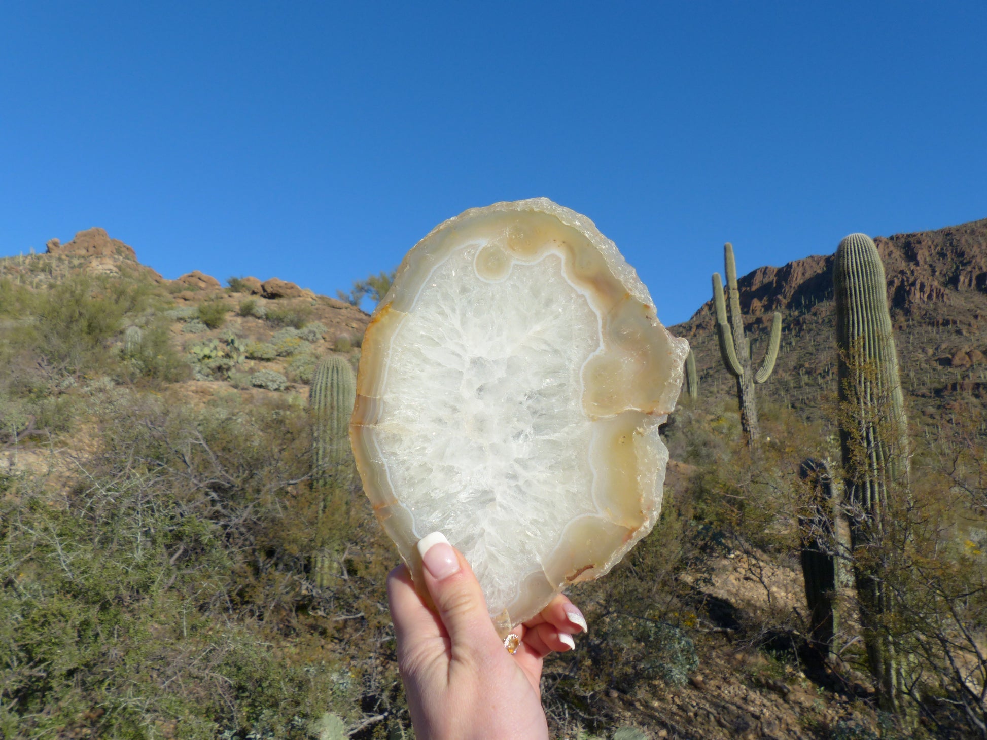 Agate Slice (#2) - Simply Affinity