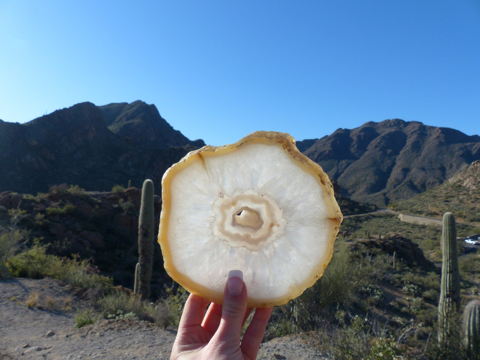 Agate Slice with Druzy Inclusions (#1) - Simply Affinity