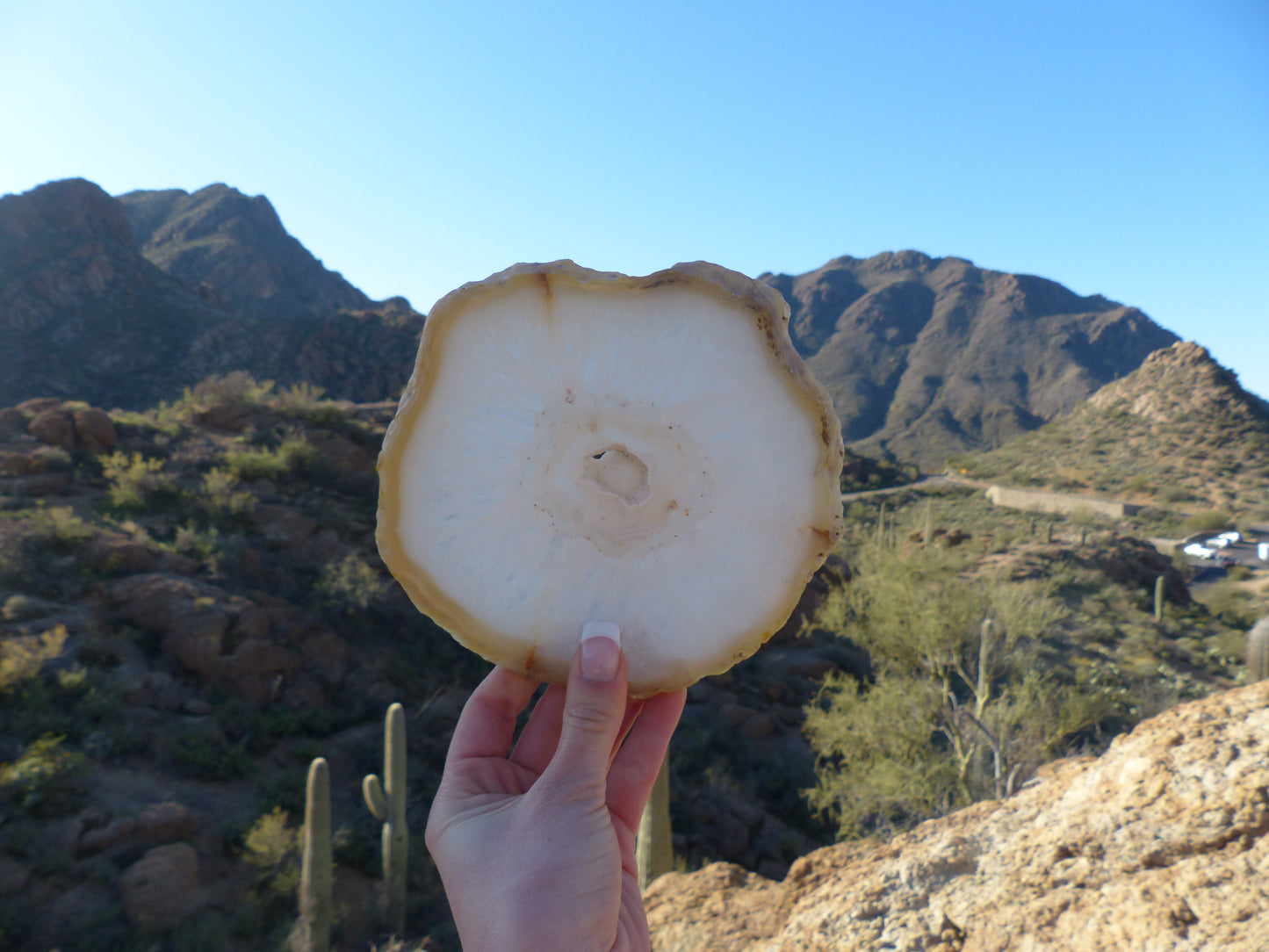 Agate Slice with Druzy Inclusions (#1) - Simply Affinity