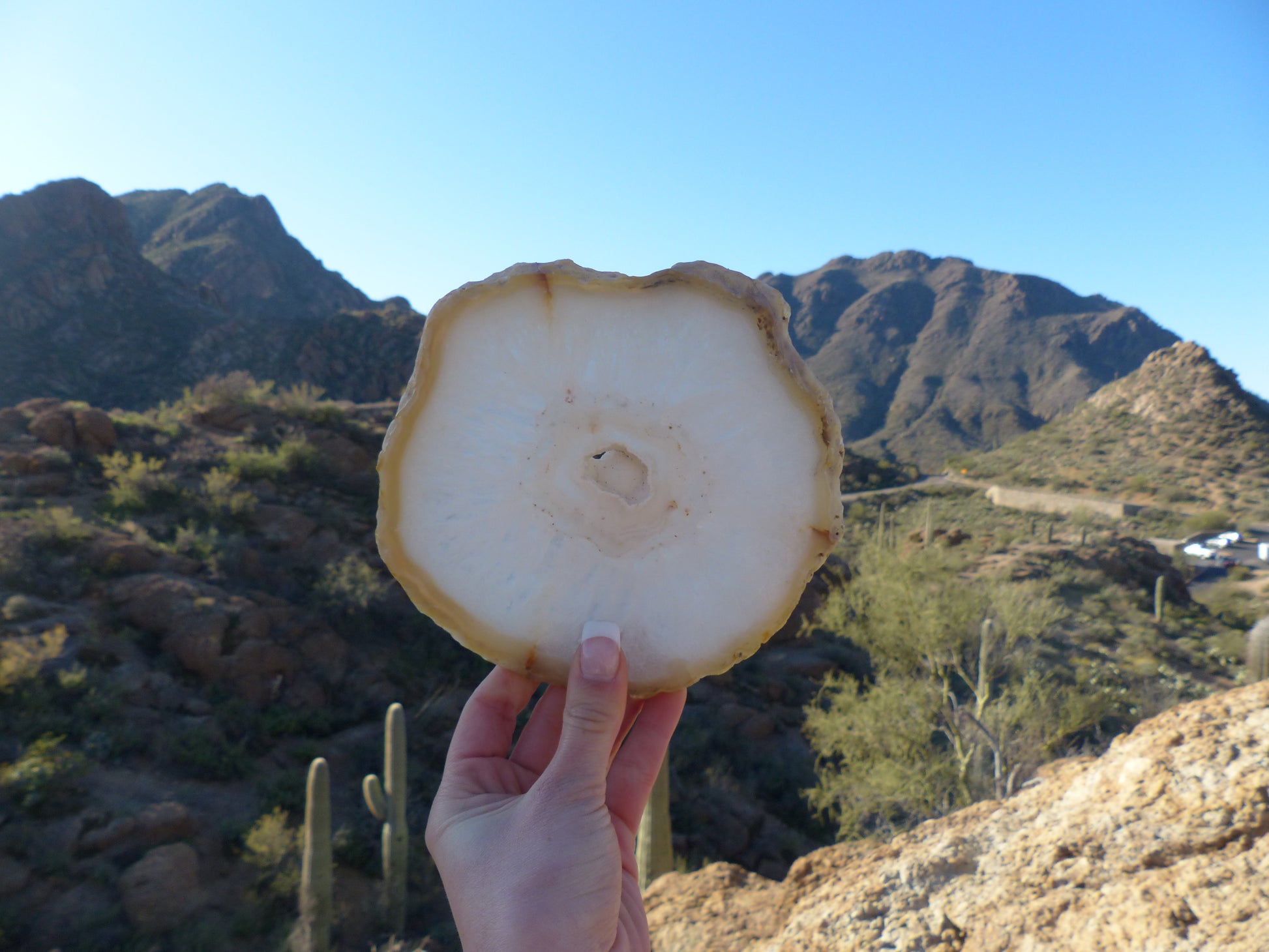 Agate Slice with Druzy Inclusions (#1) - Simply Affinity