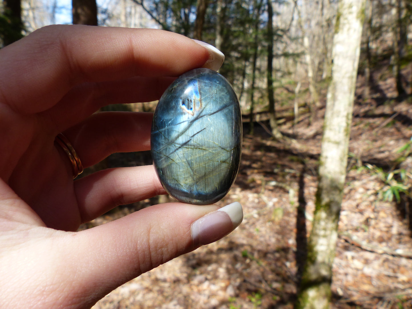 Labradorite Palm Stone (#77)