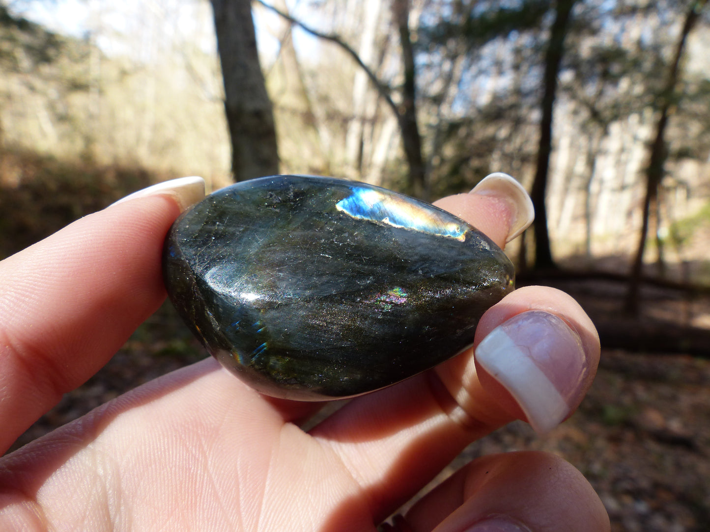 Labradorite Palm Stone (#72)