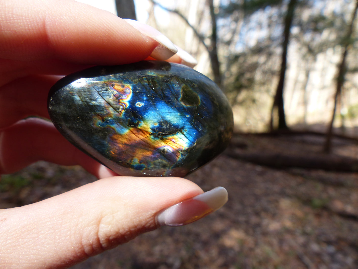 Labradorite Palm Stone (#72)