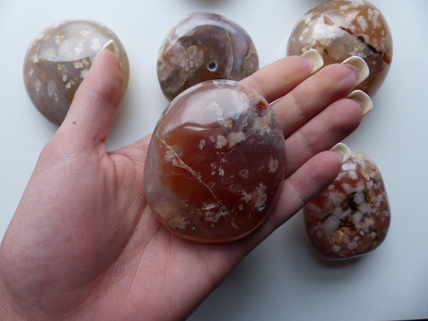 Flower Agate Palm Stone (#26)