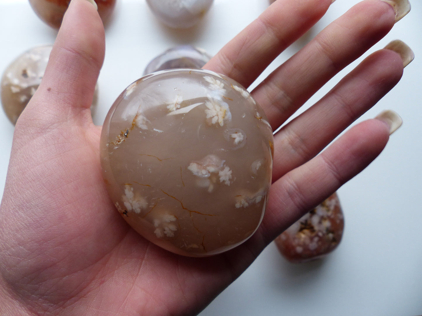 Flower Agate Palm Stone (#23)