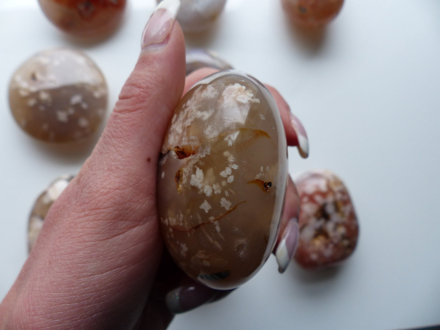 Flower Agate Palm Stone (#23)