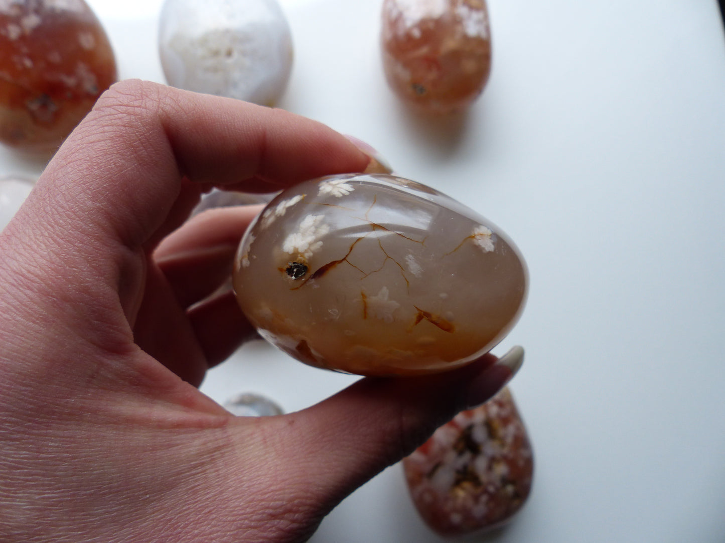 Flower Agate Palm Stone (#23)