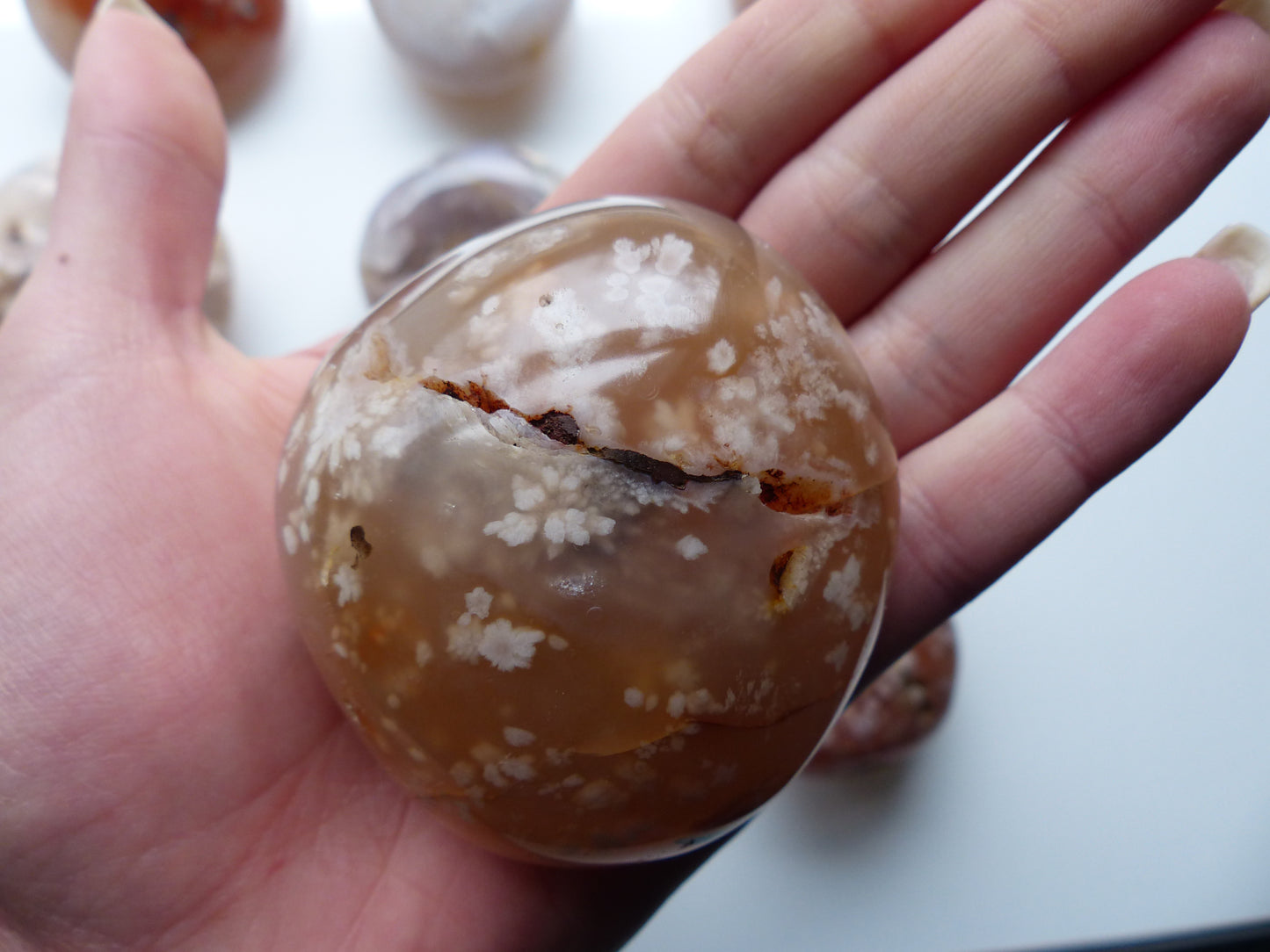 Flower Agate Palm Stone (#23)