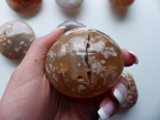 Flower Agate Palm Stone (#23)