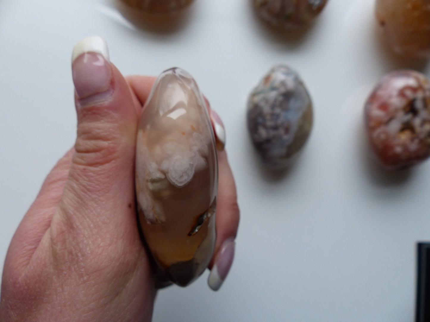 Flower Agate Palm Stone (#22)
