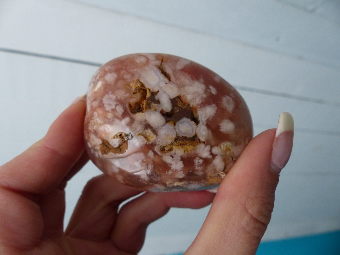 Flower Agate Palm Stone (#14)