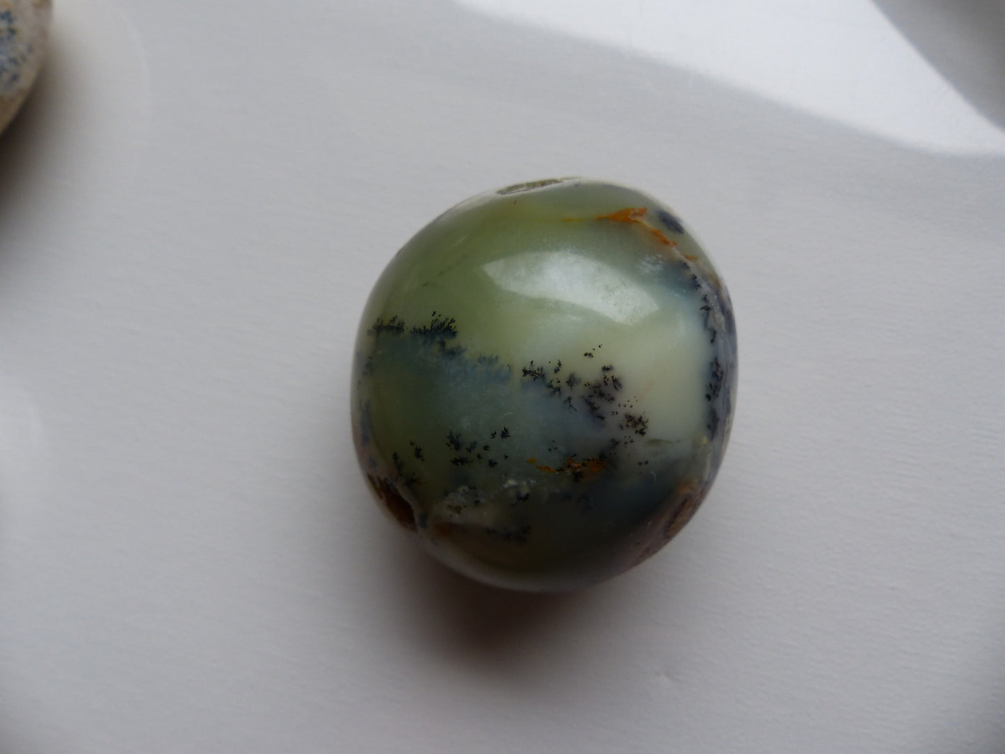 Dendritic Opal Palm Stone (#2)