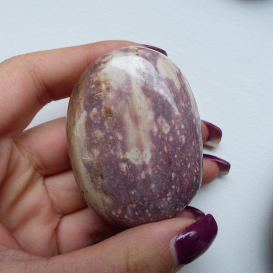 Petrified Wood Palm Stone (#2)