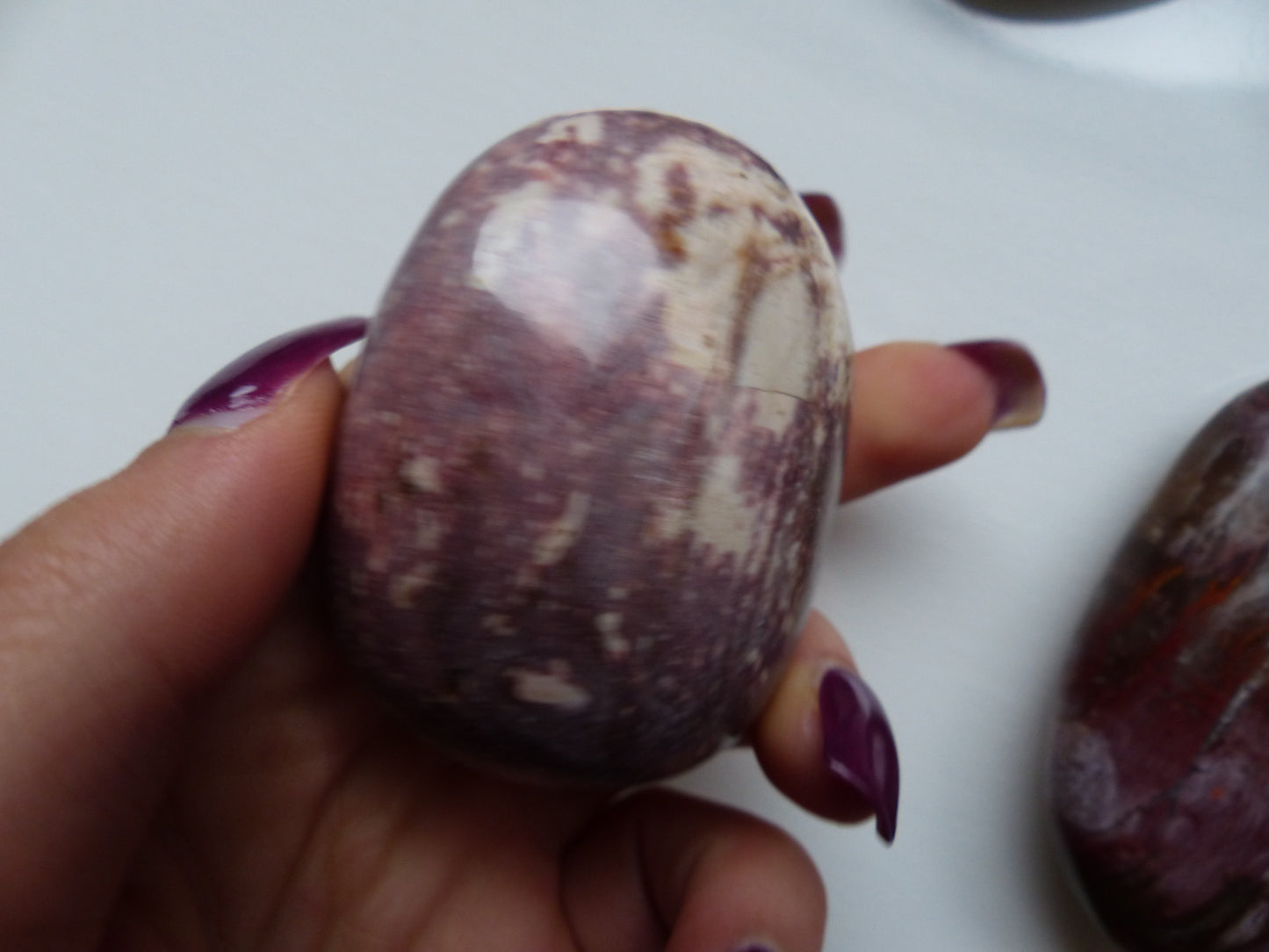 Petrified Wood Palm Stone (#2)