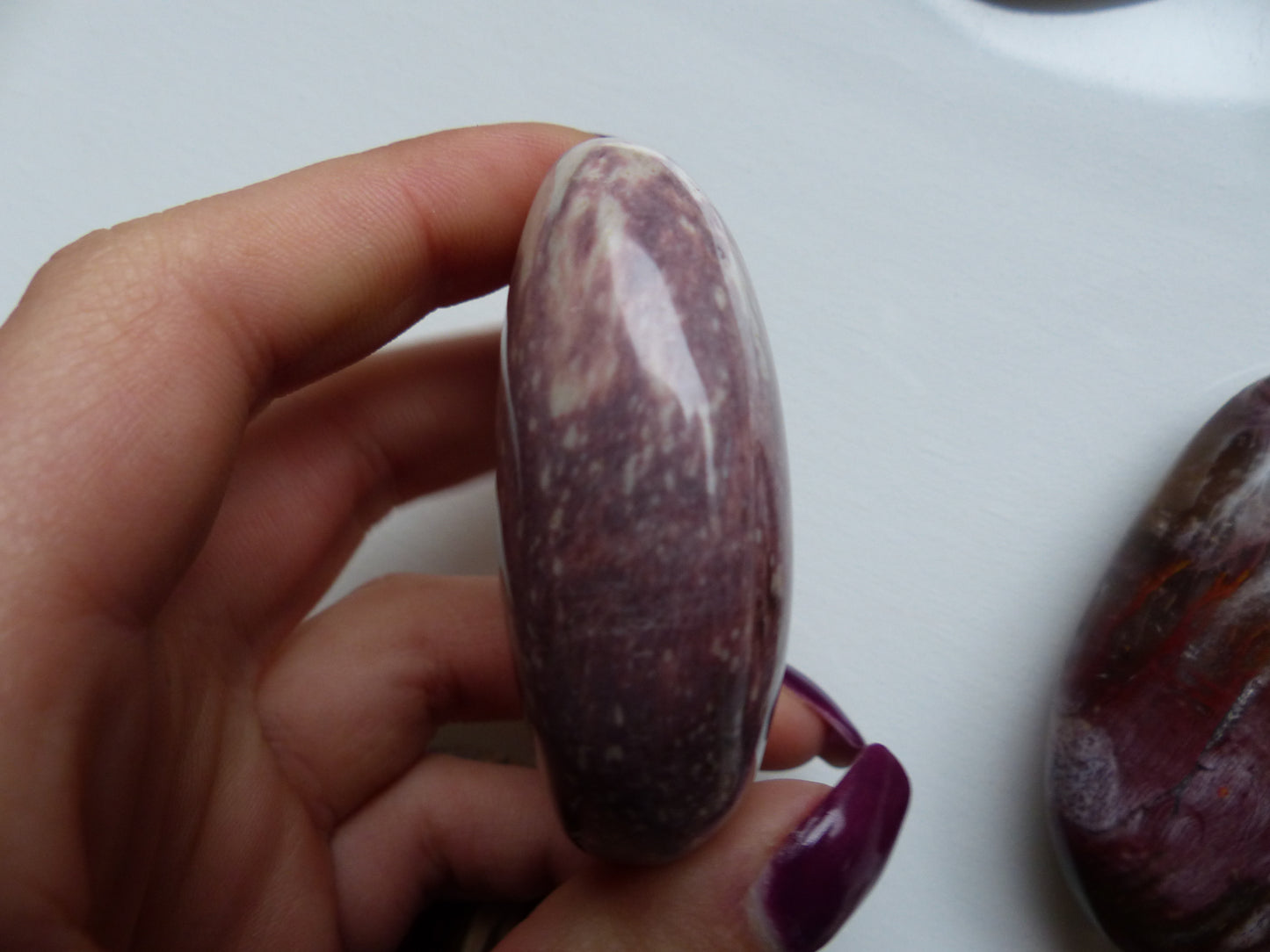 Petrified Wood Palm Stone (#2)