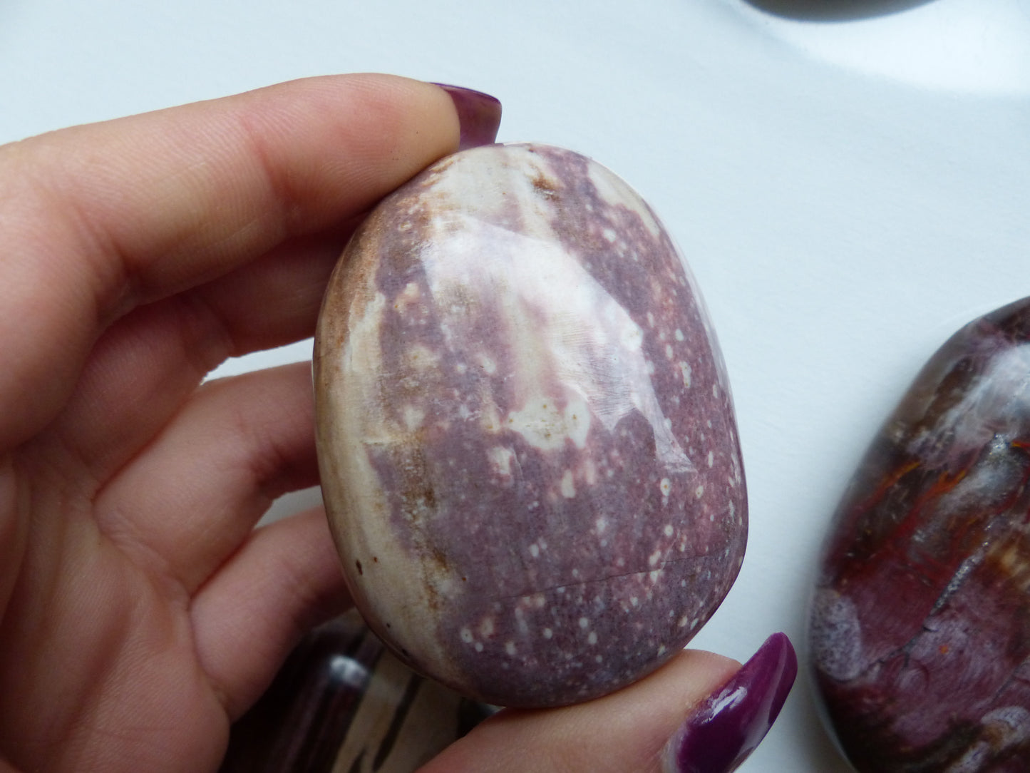 Petrified Wood Palm Stone (#2)