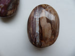 Petrified Wood Palm Stone (#6)