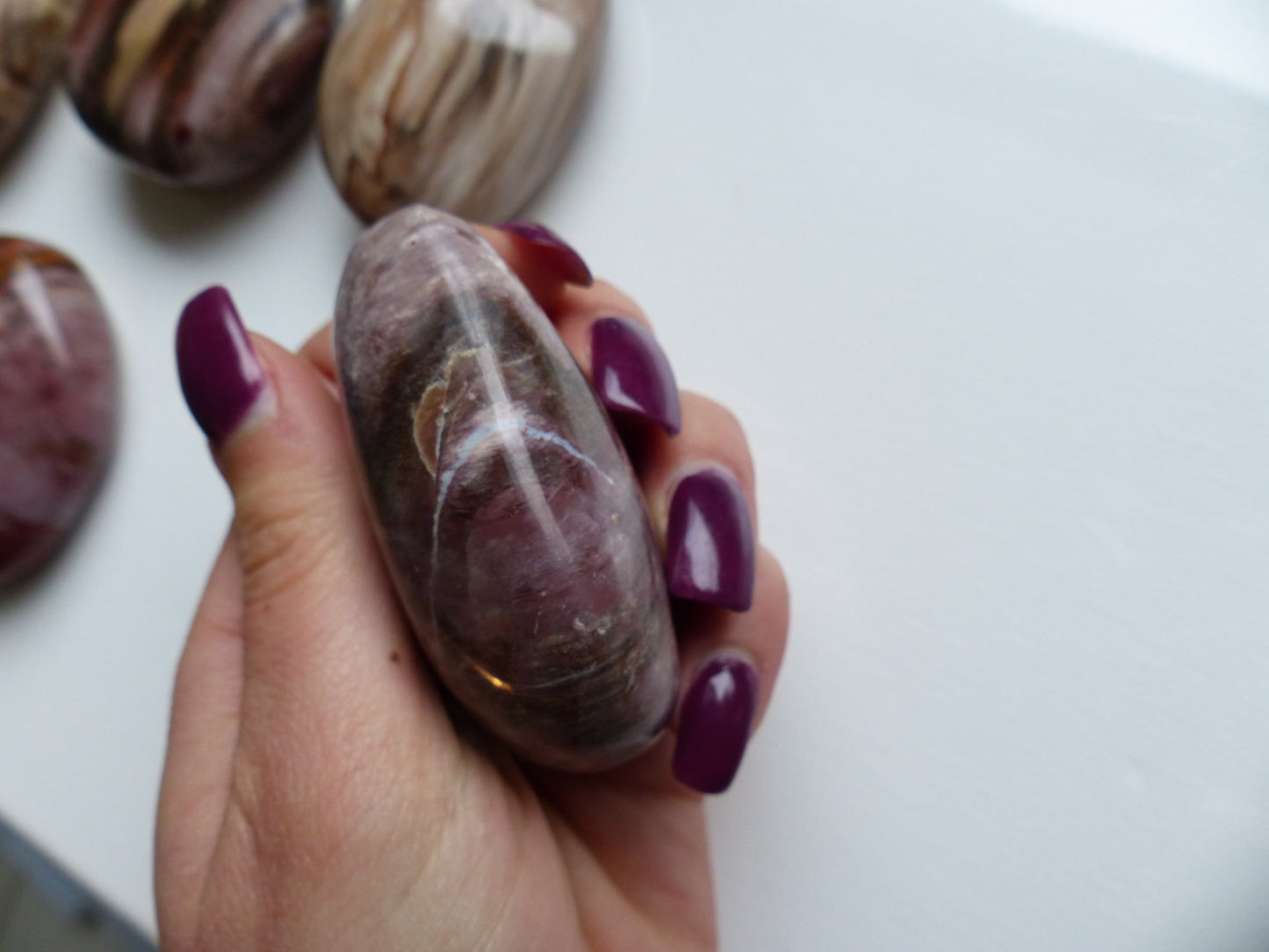 Petrified Wood Palm Stone (#9)
