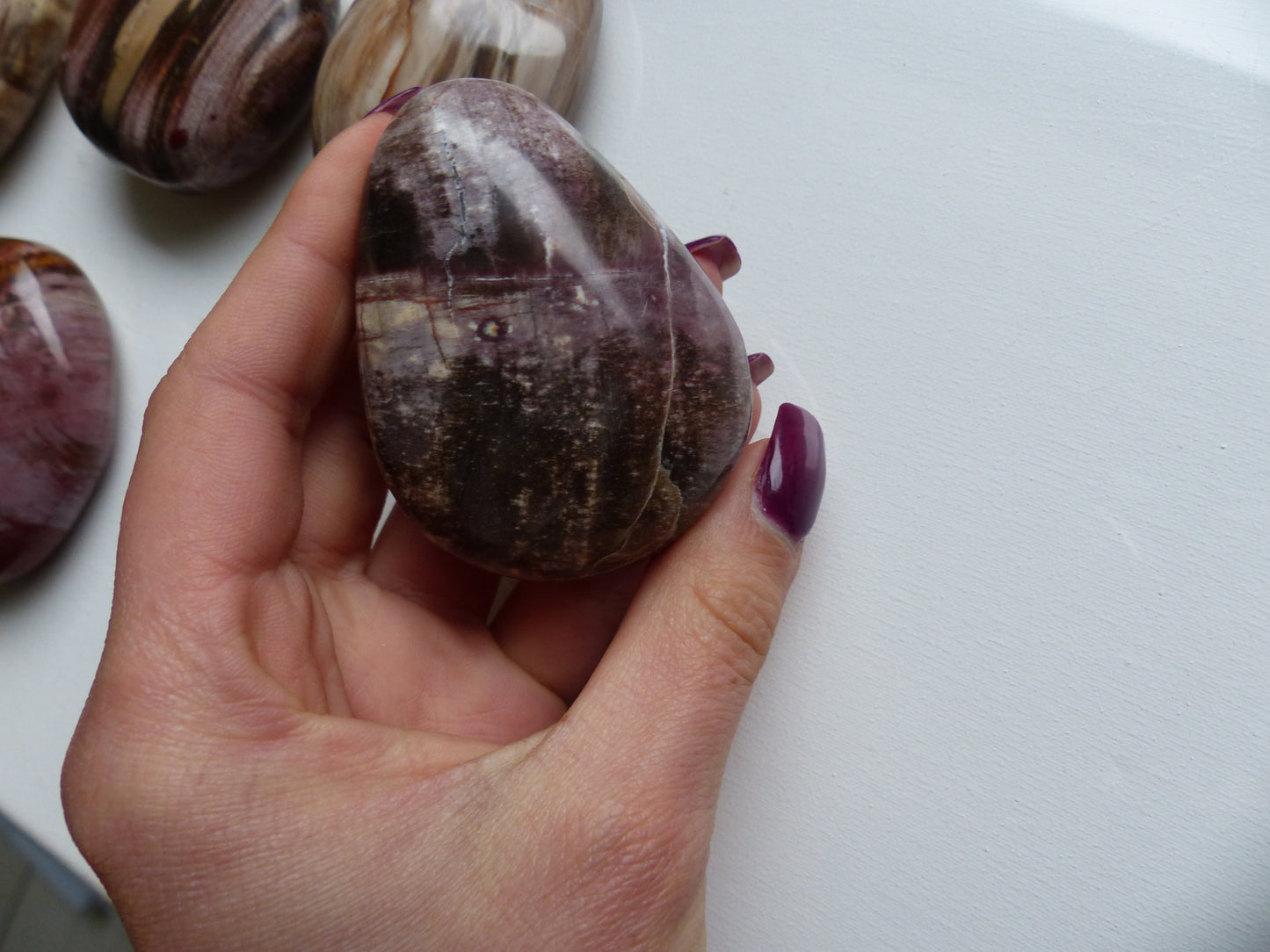 Petrified Wood Palm Stone (#9)