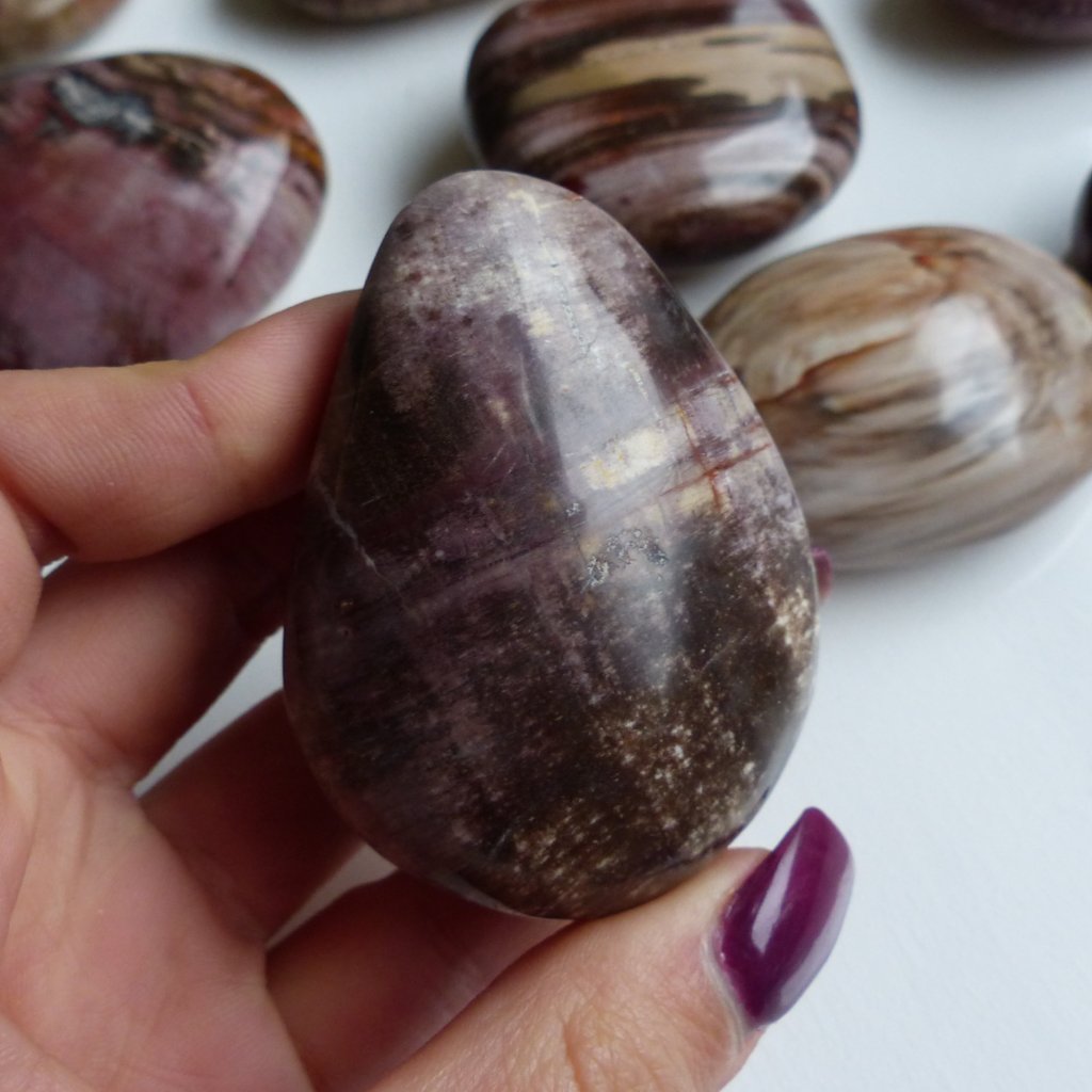 Petrified Wood Palm Stone (#9)