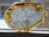 Agate Slice (#3) - Simply Affinity