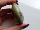 Dendritic Opal Palm Stone (#4)