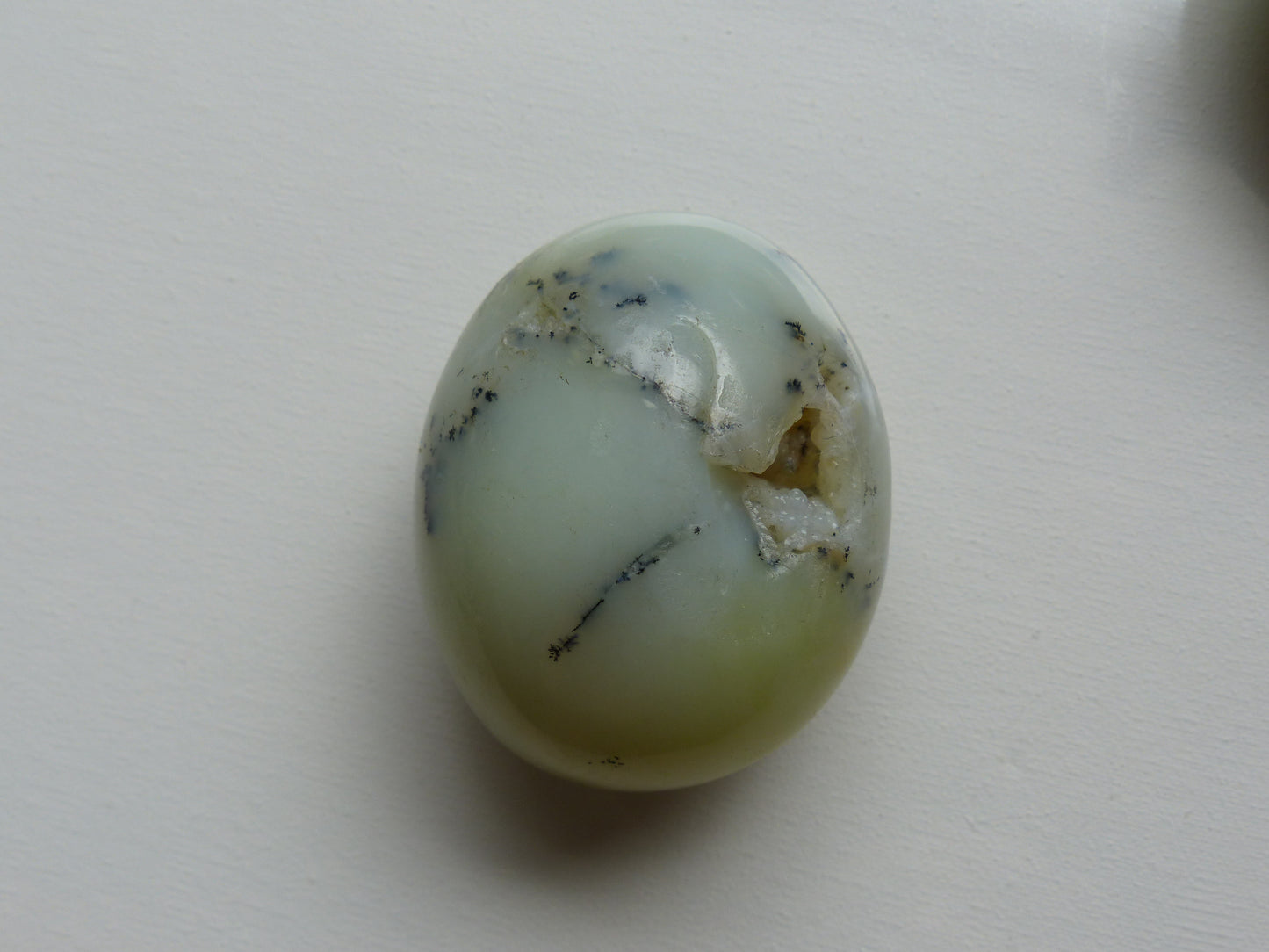 Dendritic Opal Palm Stone (#10)