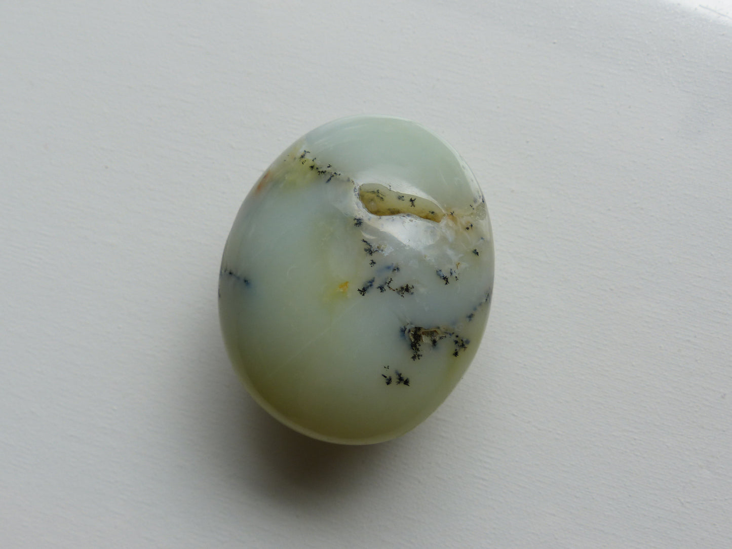 Dendritic Opal Palm Stone (#10)
