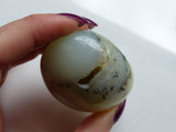 Dendritic Opal Palm Stone (#10)