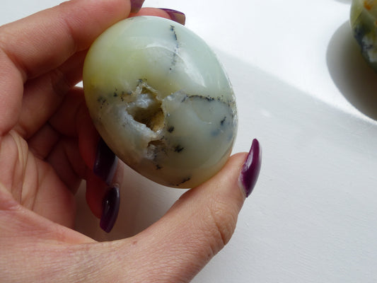 Dendritic Opal Palm Stone (#10)