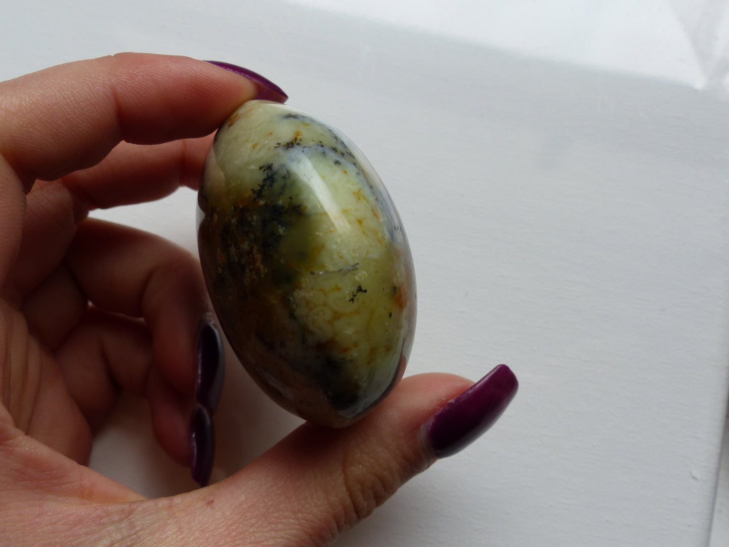 Dendritic Opal Palm Stone (#11)
