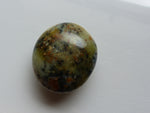 Dendritic Opal Palm Stone (#11)