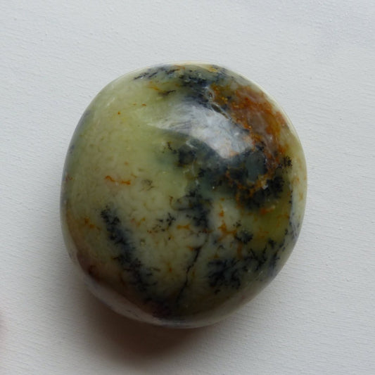 Dendritic Opal Palm Stone (#11)