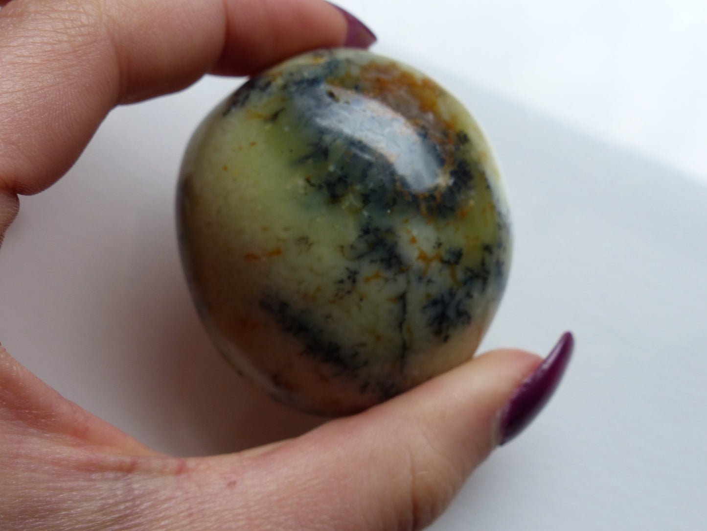 Dendritic Opal Palm Stone (#11)