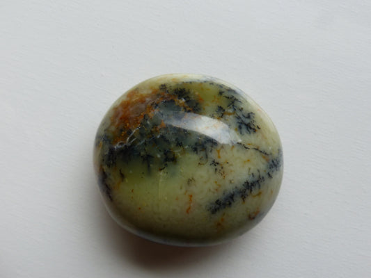Dendritic Opal Palm Stone (#11)