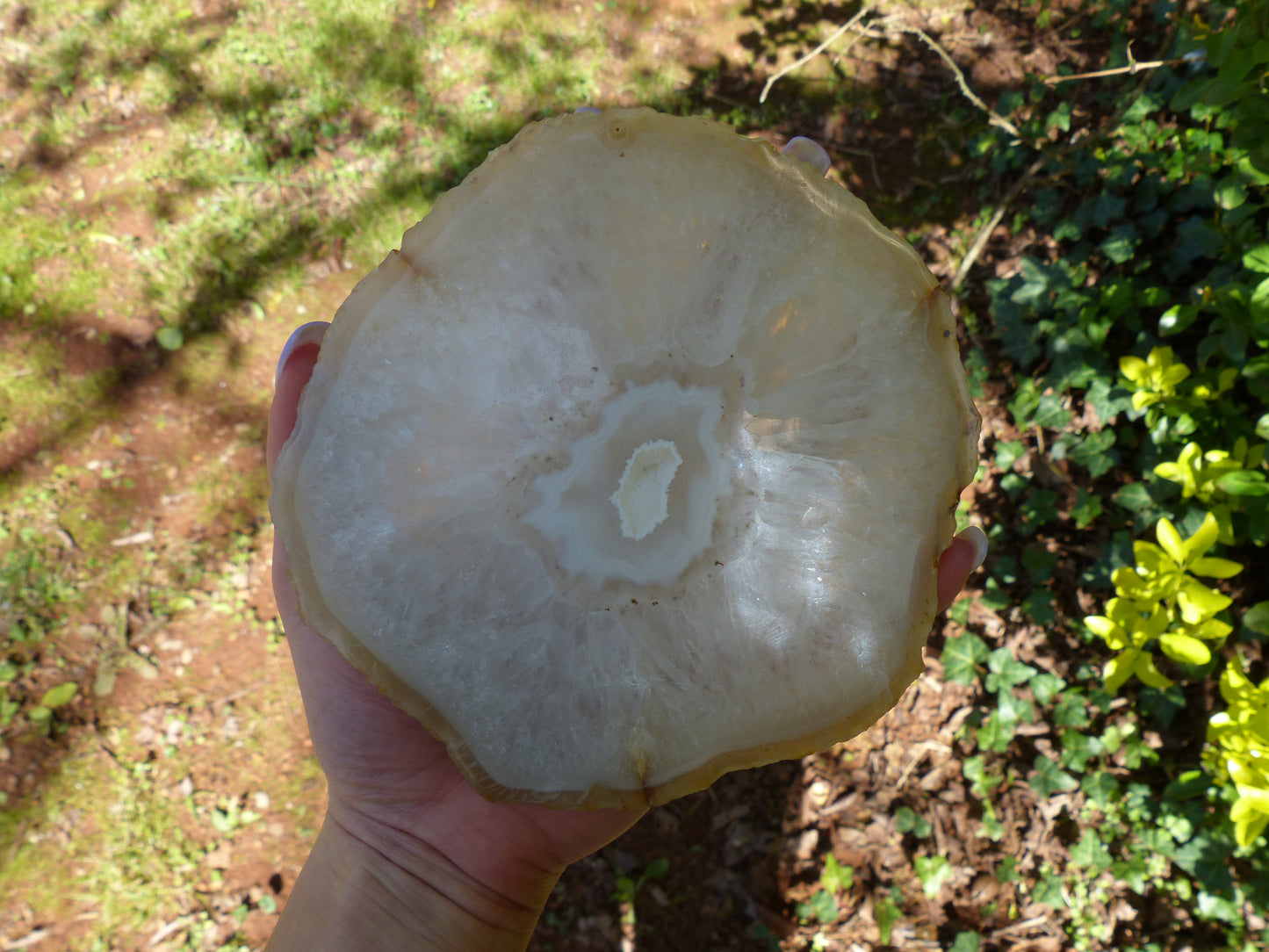 Agate Slice with Druzy Inclusions (#4) - Simply Affinity