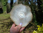 Agate Slice with Druzy Inclusions (#4) - Simply Affinity