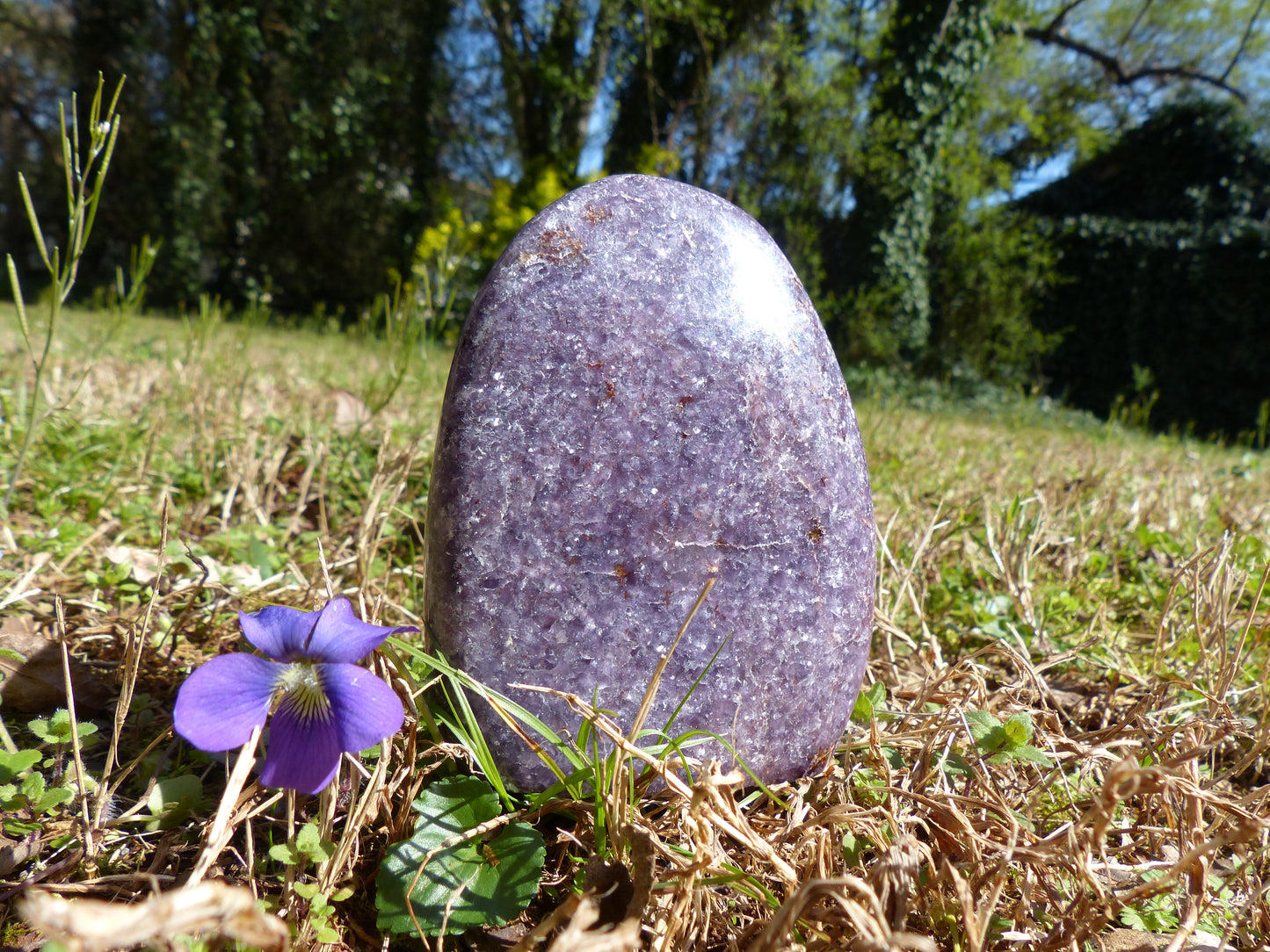 Lepidolite Free Form (#1)