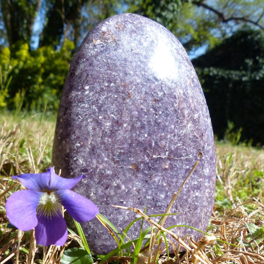 Lepidolite Free Form (#1)