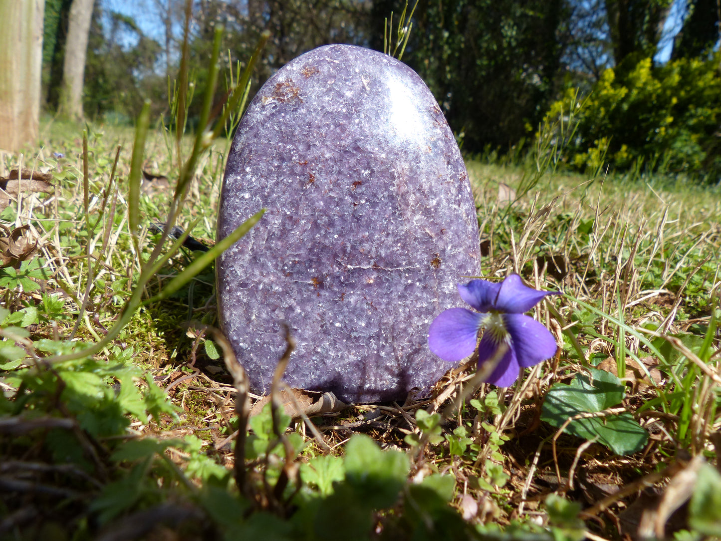 Lepidolite Free Form (#1)