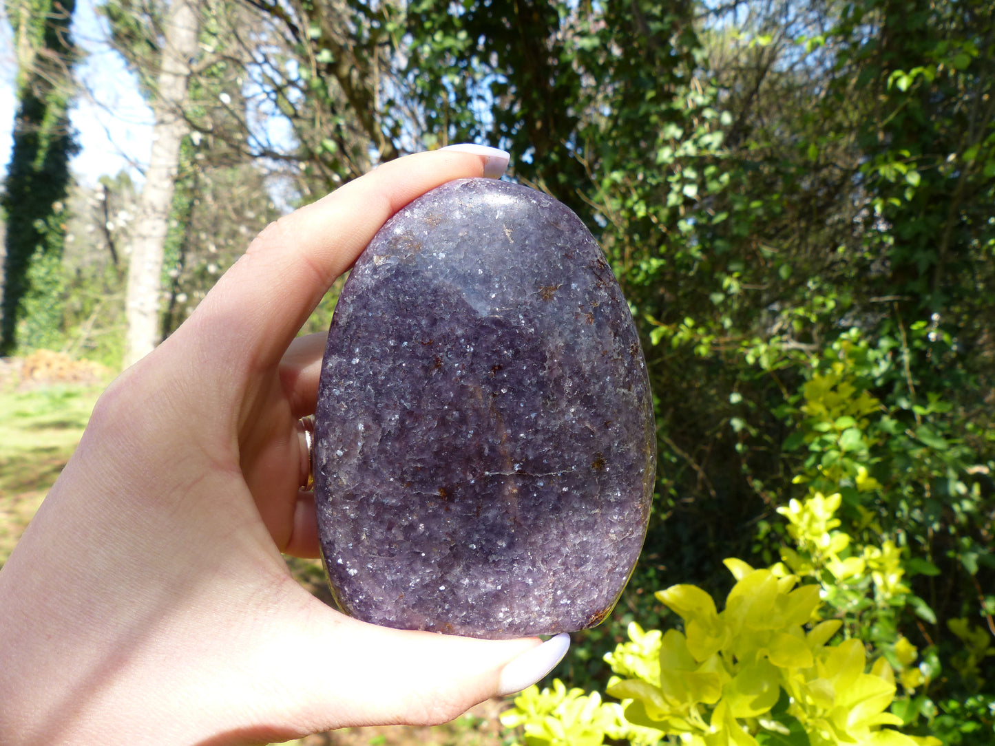 Lepidolite Free Form (#1)