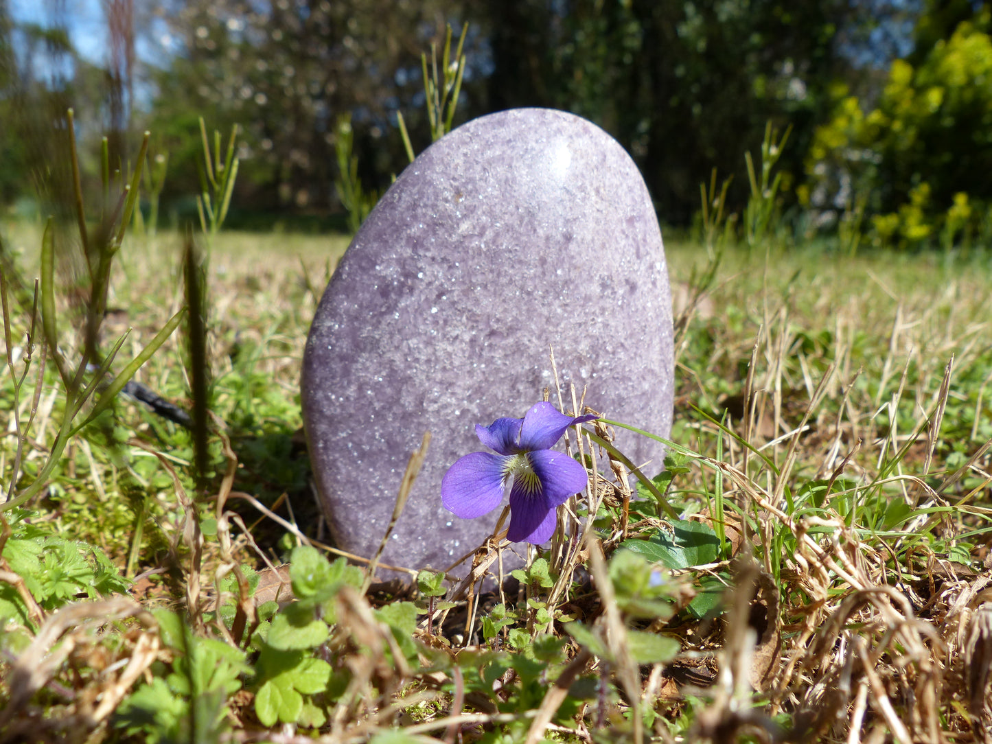 Lepidolite Free Form (#3)