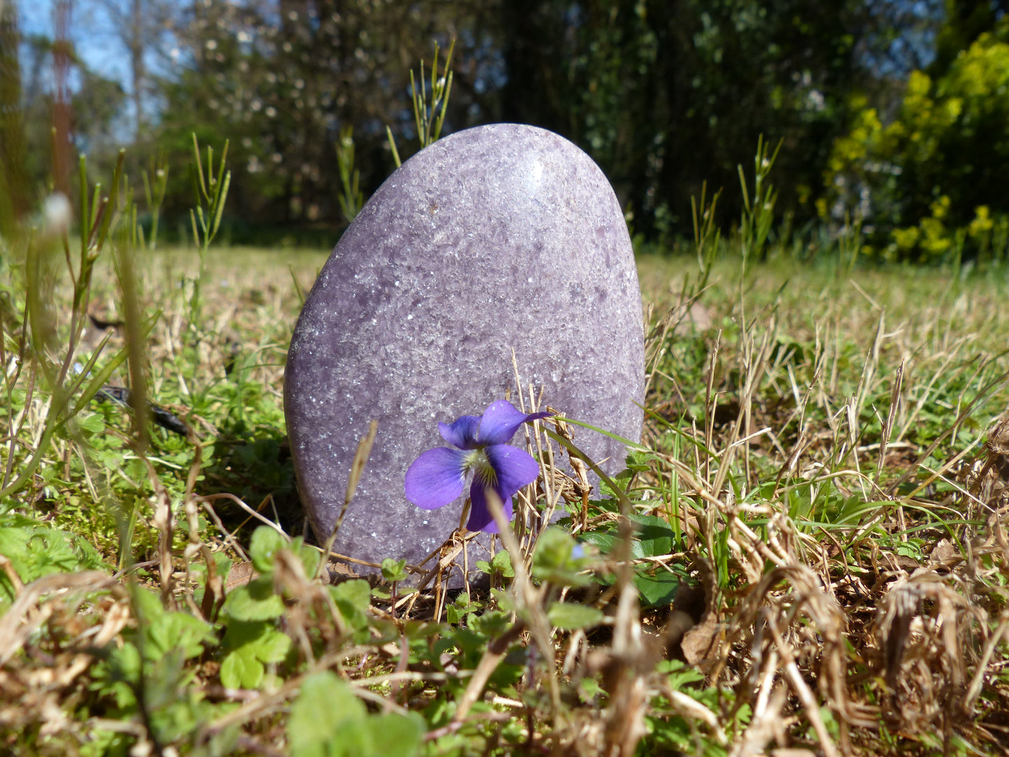 Lepidolite Free Form (#3)