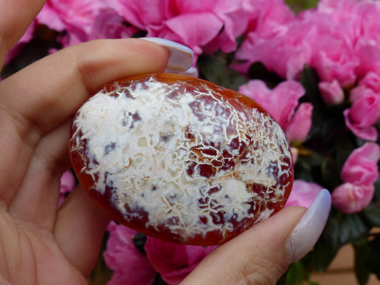 Carnelian Palm Stone (#8)