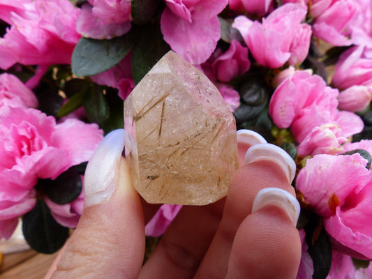 Rutilated Quartz Point (#1)