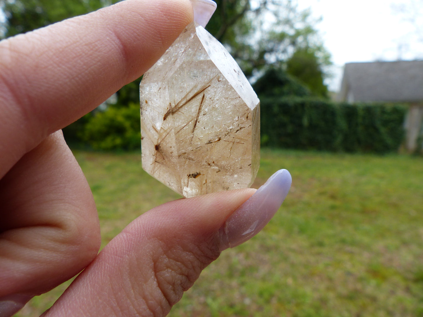 Rutilated Quartz Point (#1)