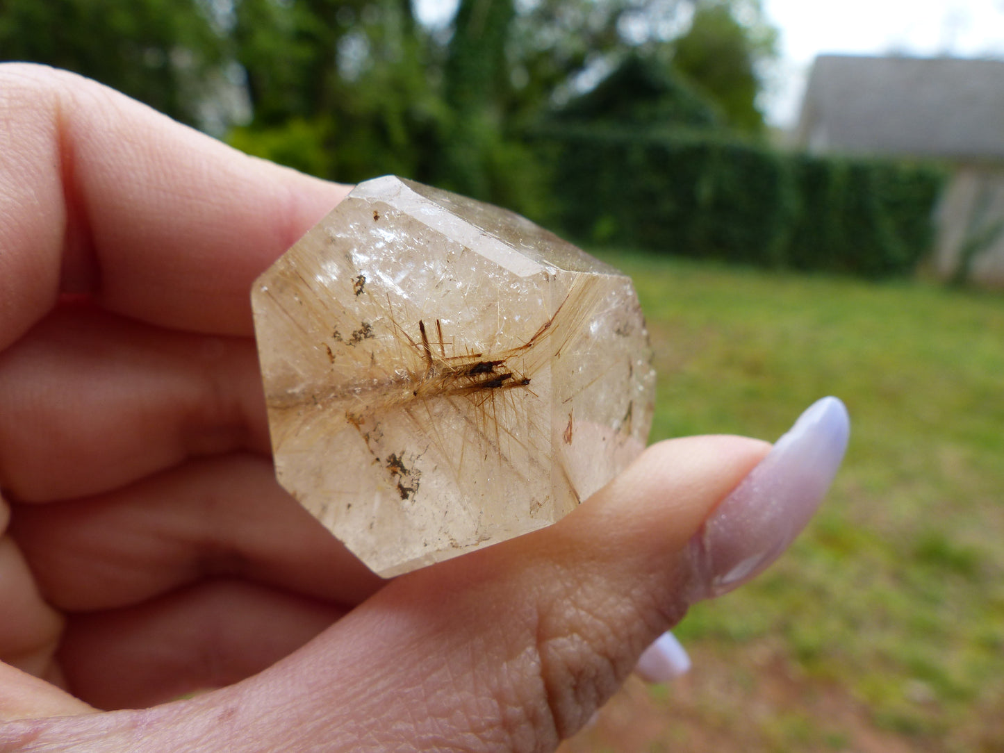 Rutilated Quartz Point (#1)