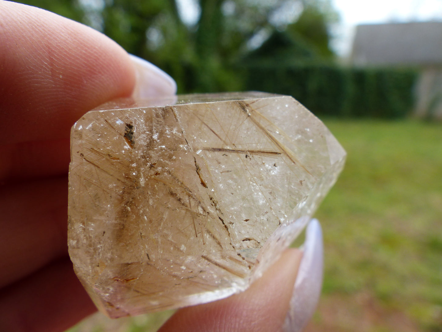 Rutilated Quartz Point (#1)