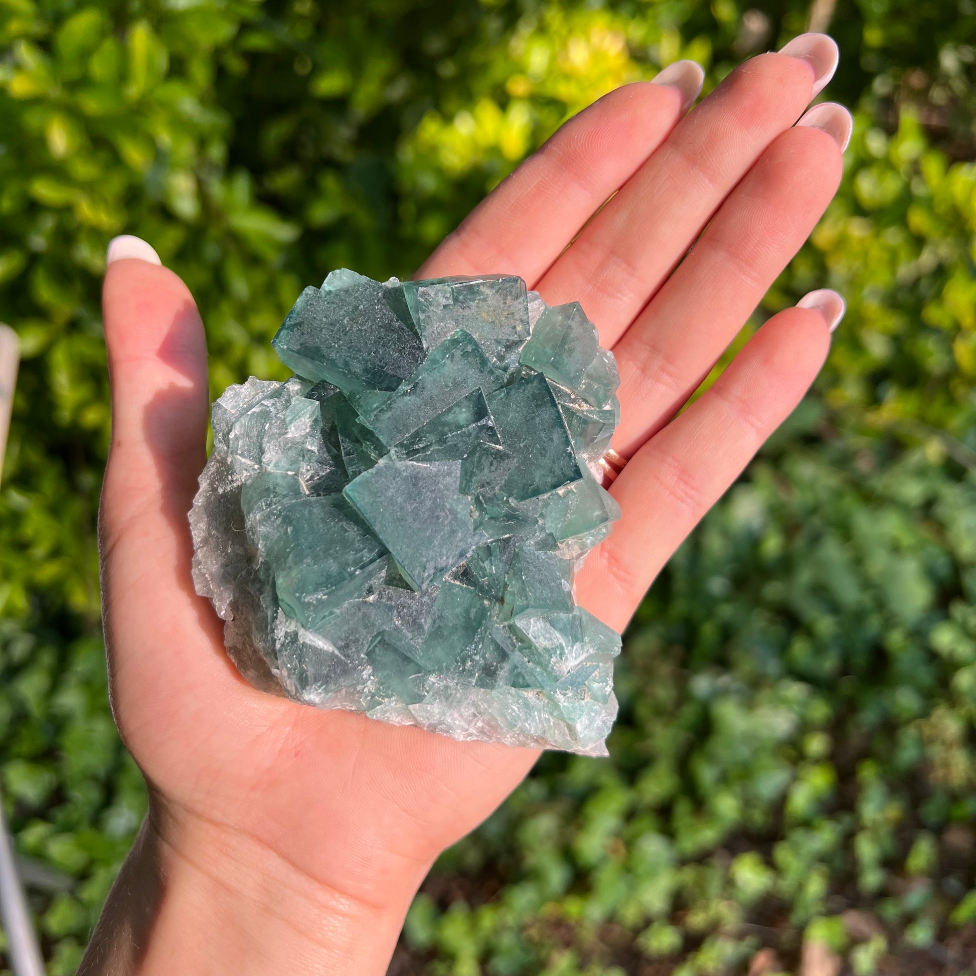 Raw Cubic Fluorite Cluster (#12) - Simply Affinity