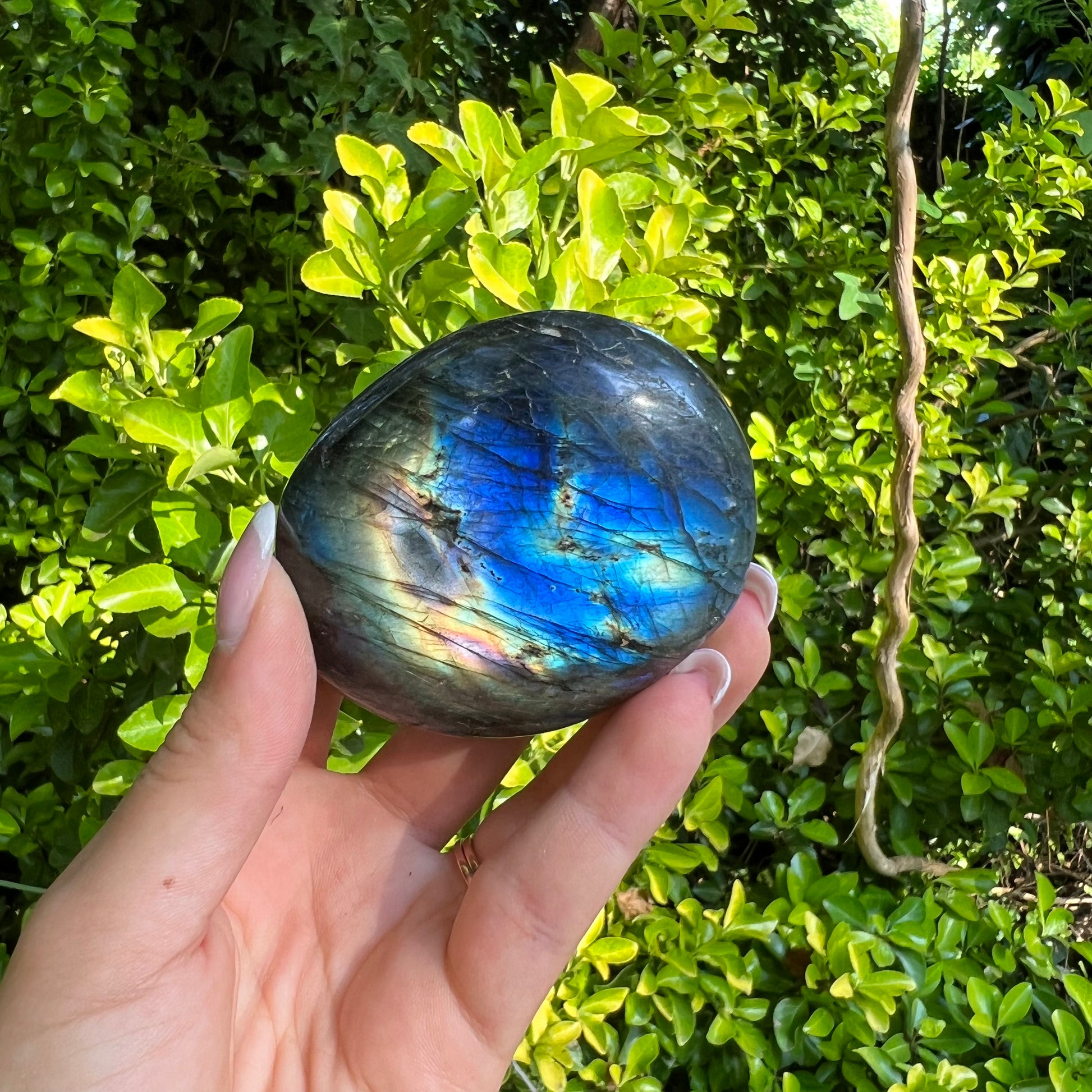 Labradorite Palm Stone (#25) - Simply Affinity